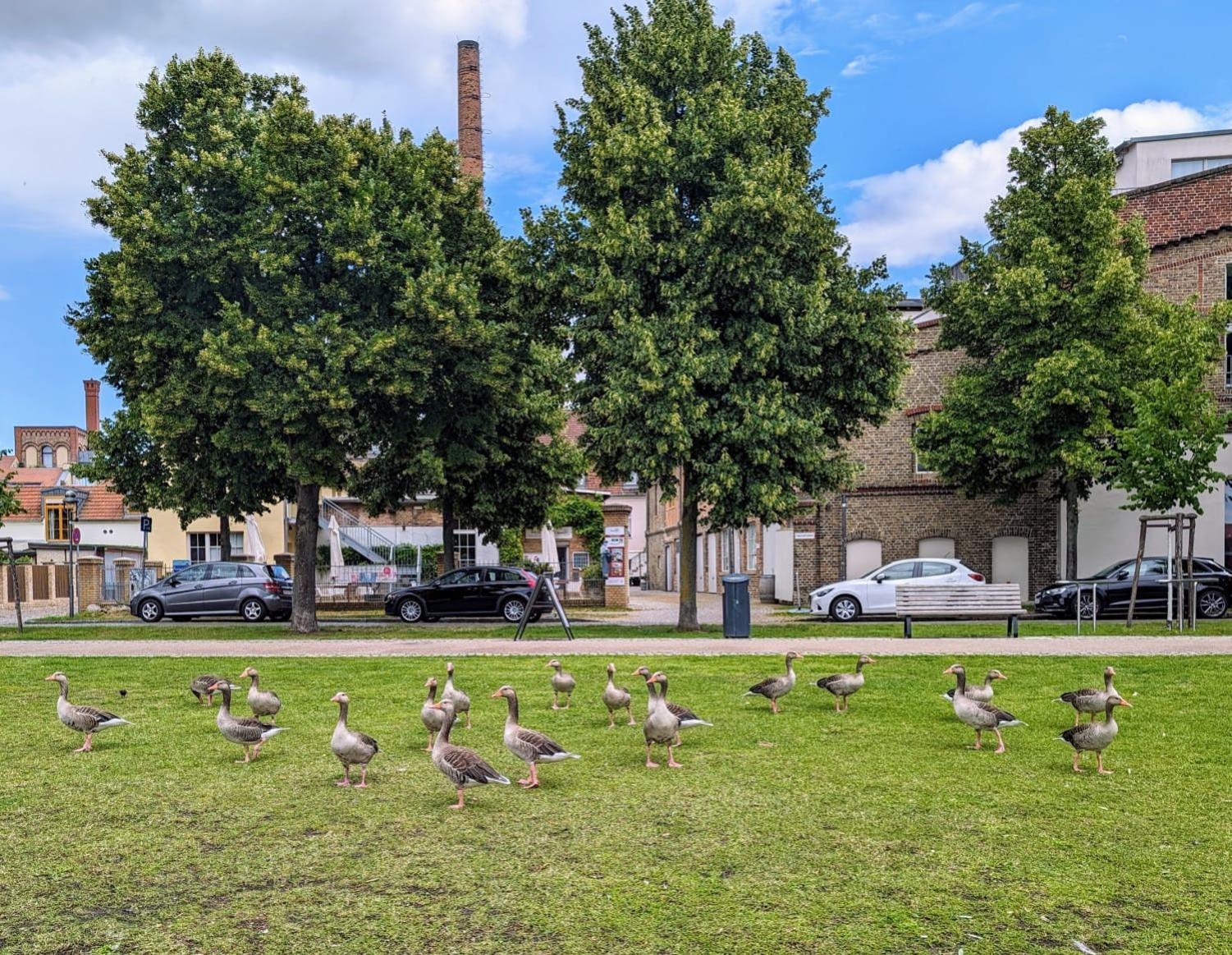 Lendelhaus & Historische Saftfabrik Werder Leilighet Werder  Eksteriør bilde